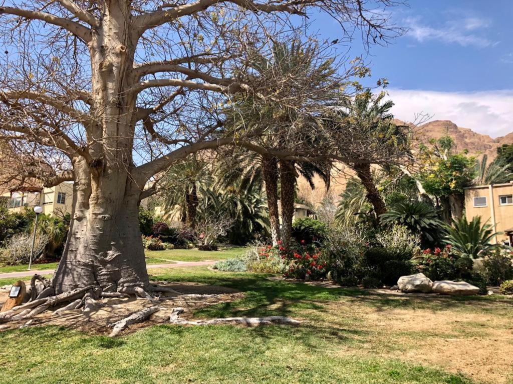 Ein Gedi Caravan By Dory Caravan Bagian luar foto